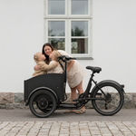 Chanty Cargo City Bike Electric