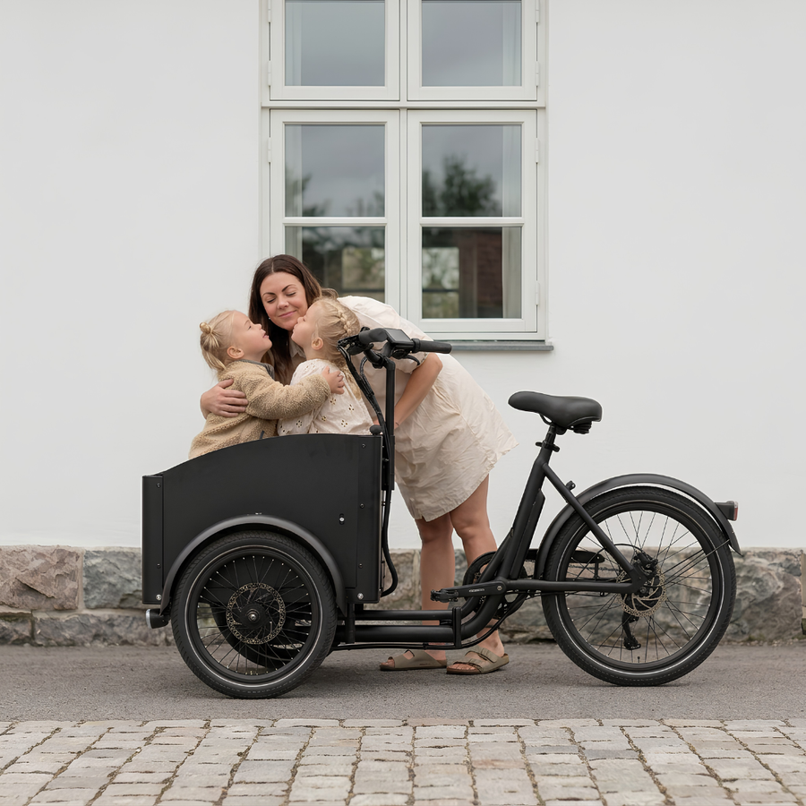 Chanty Cargo City Bike Electric