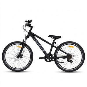 Chanty MTB 26