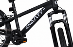Chanty MTB 20" sort