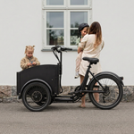 Chanty Cargo City Bike Electric