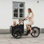 Chanty Cargo City Bike Electric